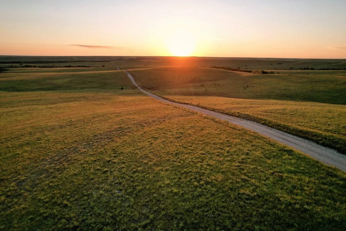 A dirt road crossing open Kansas prairie at sunset