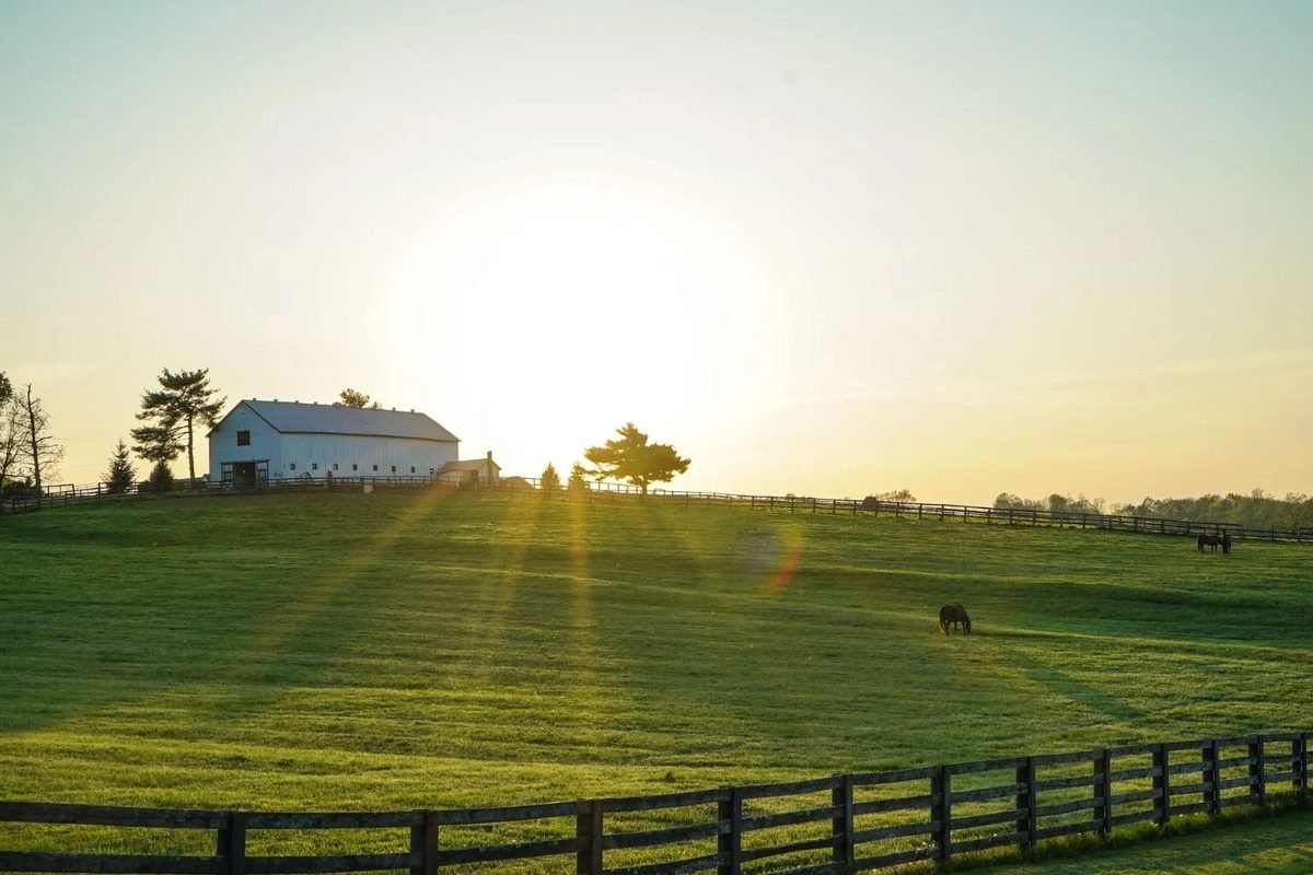 Morning sun over a fenced green pasture and white barn in Kentucky