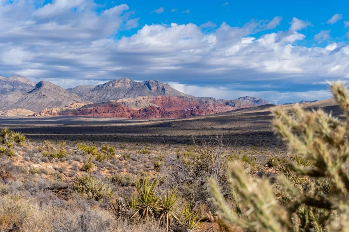 Montañas desérticas rojas y grises en Red Rock Canyon, cerca de Las Vegas