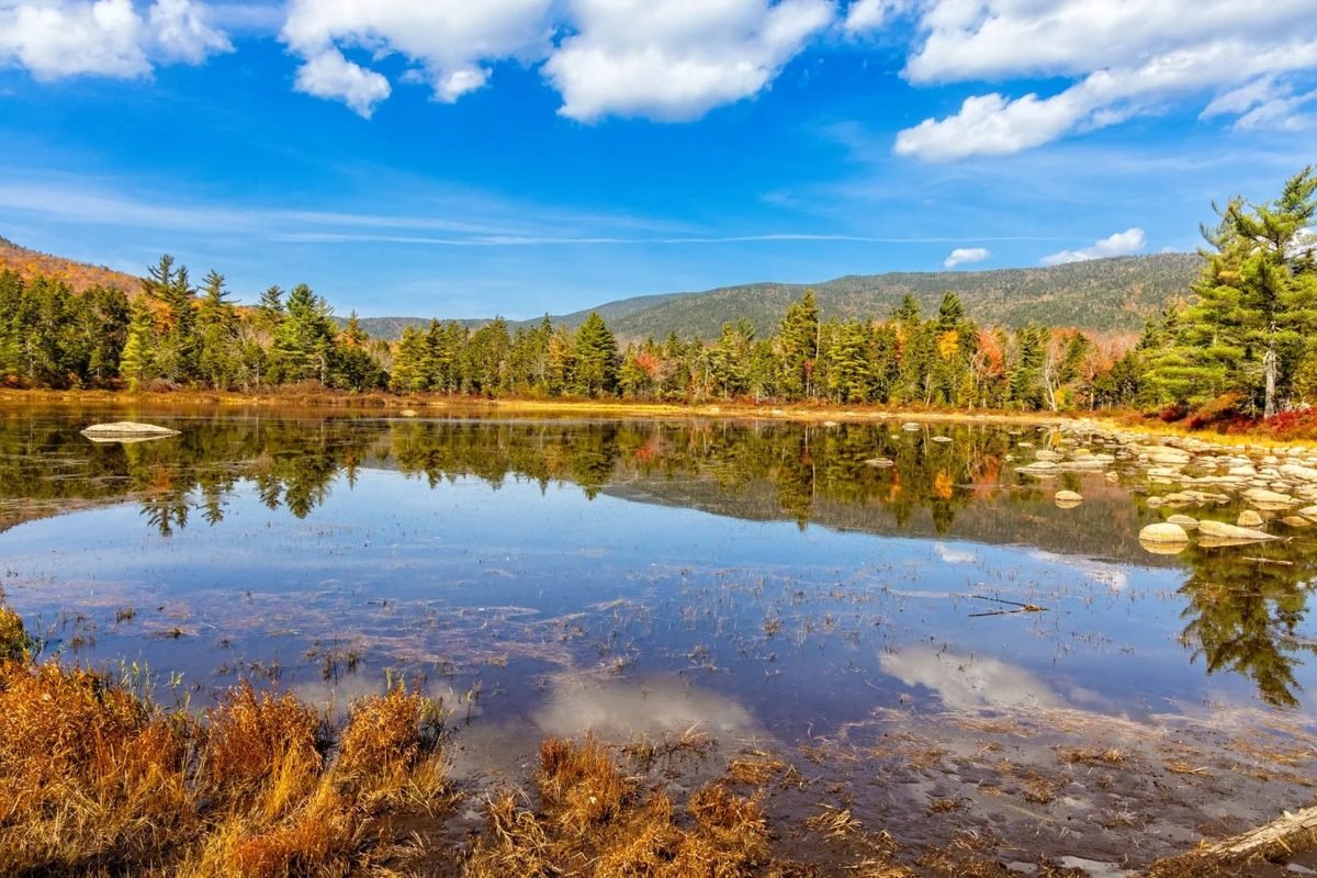 Árboles de otoño reflejados en un estanque tranquilo en Lincoln, Nuevo Hampshire