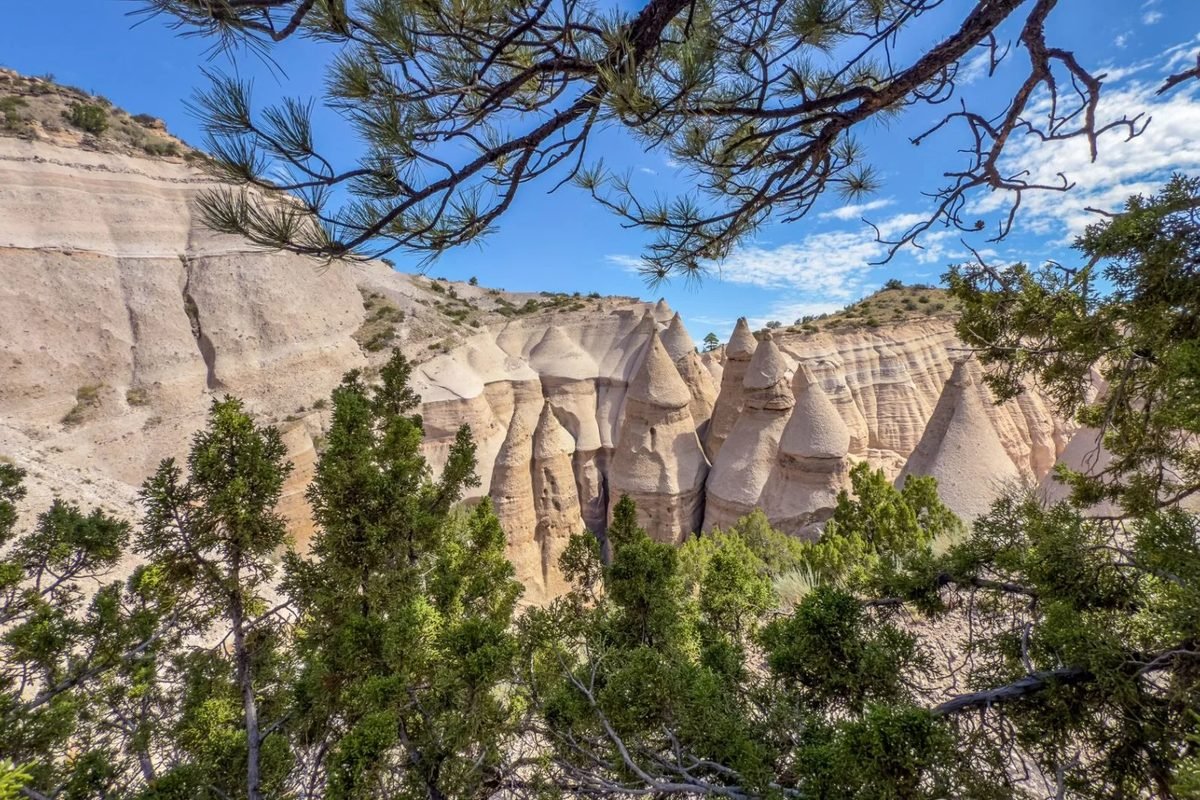 White cone-shaped rock formations among pine trees at Kasha-Katuwe Tent Rocks