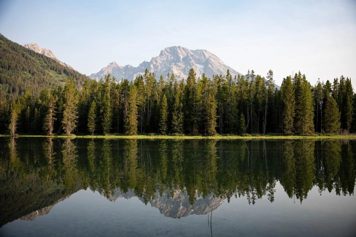 The Teton Range and forest reflected in a still lake near Jackson, Wyoming